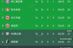 开云下载-德甲豪门连胜，领跑联赛积分榜